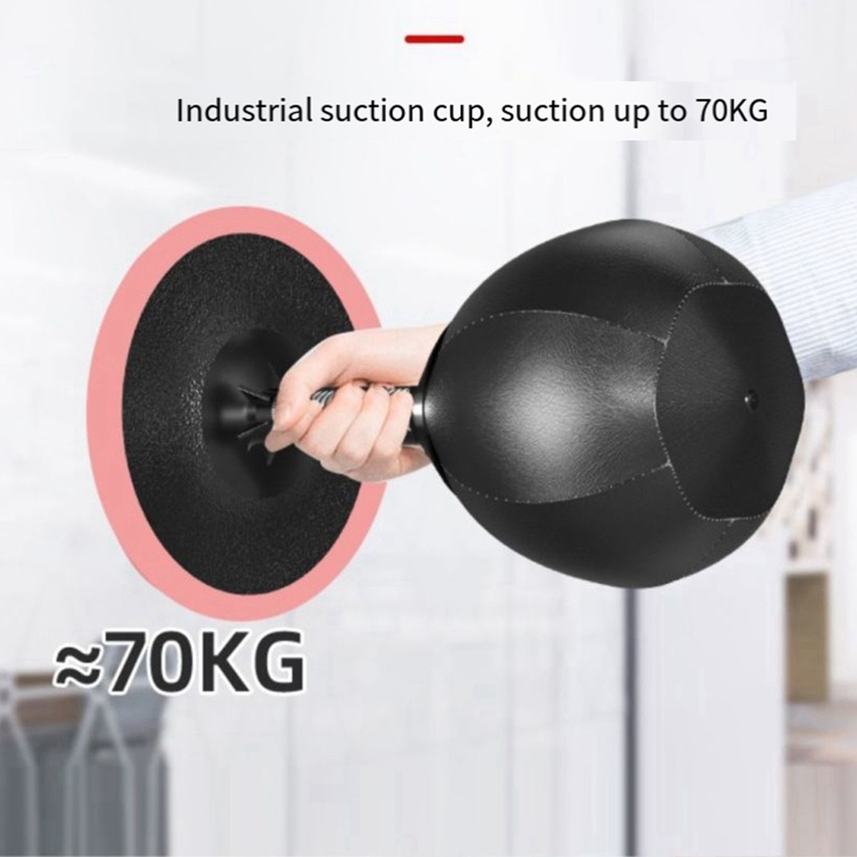 AINY-2X Desktop Boxing Punchin - Speed Bag Boxing review and price