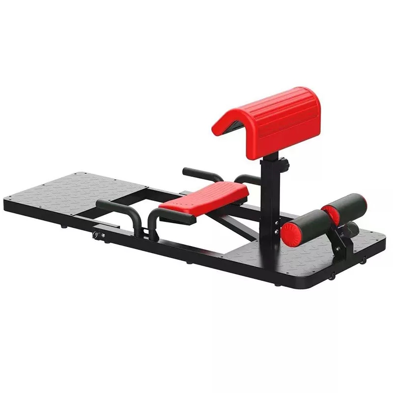 Sissy Squat Machine 3-in-1 Hom - Home Gym Quad Exercises review and price