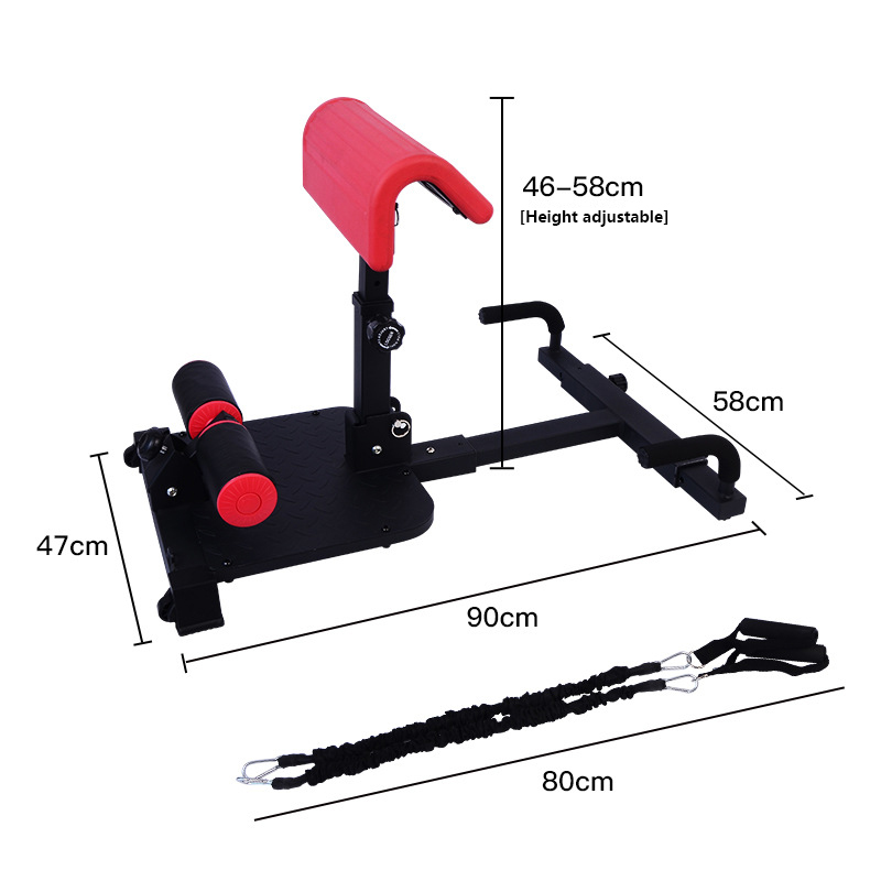 Sissy Squat Machine 3-in-1 Hom - Home Gym Quad Exercises review and price