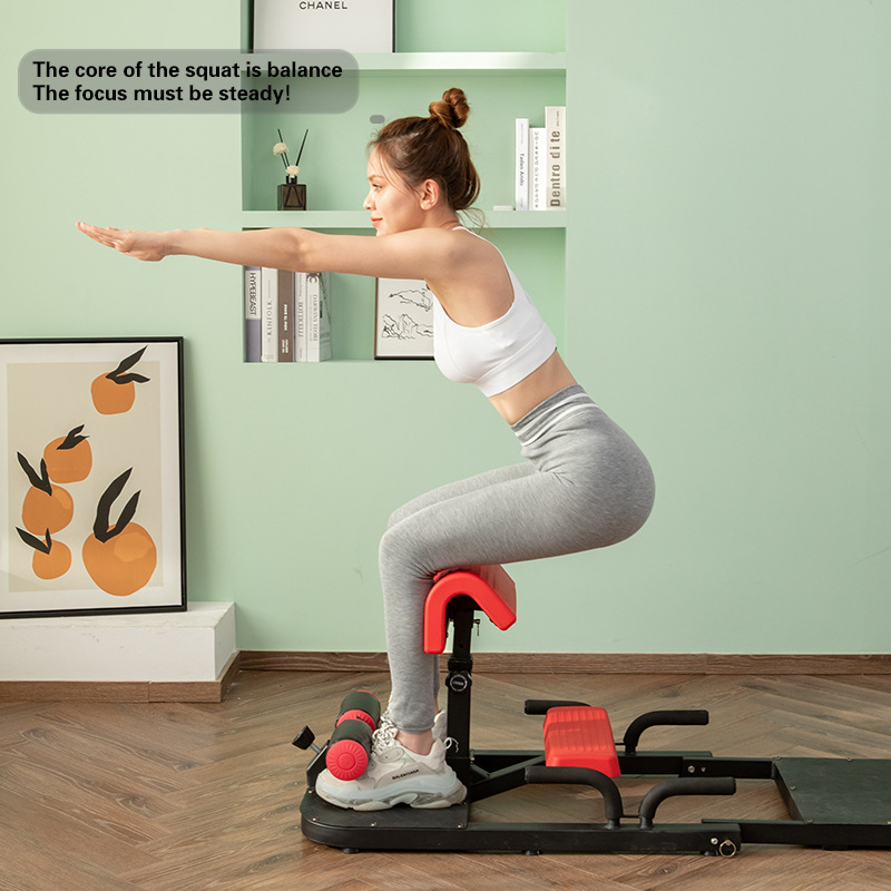 Sissy Squat Machine 3-in-1 Hom - Home Gym Quad Exercises review and price